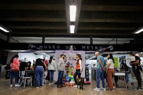 Dogs Rescued By The STCMetro Of Mexico City, Help The Three Wise Men Collect Letters From Girls And Boys