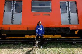 Dogs Rescued By The STCMetro Of Mexico City, Help The Three Wise Men Collect Letters From Girls And Boys