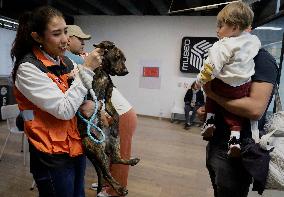 Dogs Rescued By The STCMetro Of Mexico City, Help The Three Wise Men Collect Letters From Girls And Boys