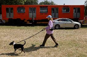 Dogs Rescued By The STCMetro Of Mexico City, Help The Three Wise Men Collect Letters From Girls And Boys