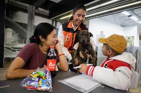 Dogs Rescued By The STCMetro Of Mexico City, Help The Three Wise Men Collect Letters From Girls And Boys