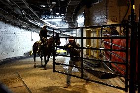 Pro Bull Riders: Unleash The Beast - New York City