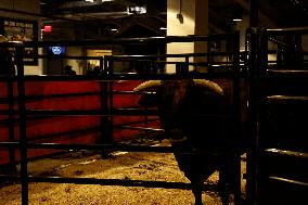 Pro Bull Riders: Unleash The Beast - New York City