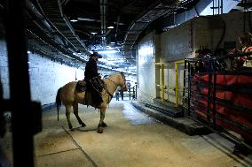 Pro Bull Riders: Unleash The Beast - New York City