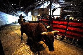 Pro Bull Riders: Unleash The Beast - New York City