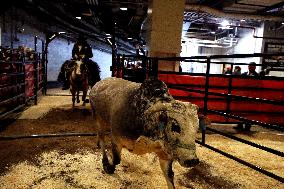 Pro Bull Riders: Unleash The Beast - New York City