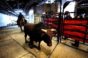 Pro Bull Riders: Unleash The Beast - New York City