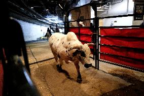 Pro Bull Riders: Unleash The Beast - New York City