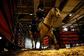 Pro Bull Riders: Unleash The Beast - New York City