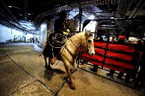 Pro Bull Riders: Unleash The Beast - New York City