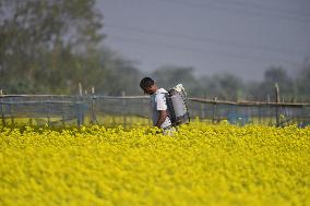 Daily Life In India