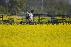 Daily Life In India