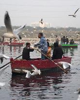 Delhi's Yamuna Ghat Becomes Winter Attraction For Migratory Birds