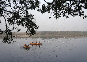 Delhi's Yamuna Ghat Becomes Winter Attraction For Migratory Birds