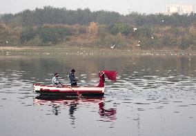 Delhi's Yamuna Ghat Becomes Winter Attraction For Migratory Birds