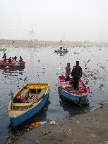 Delhi's Yamuna Ghat Becomes Winter Attraction For Migratory Birds