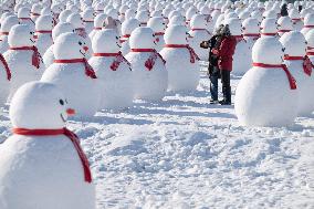 Snow Sculptures - Harbin