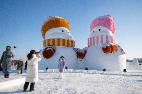 Snow Sculptures - Harbin