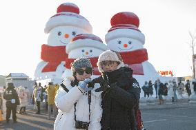 Snow Sculptures - Harbin