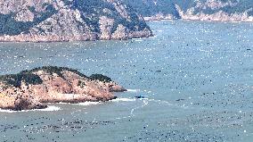 Abalone Harvesting in Fuzhou