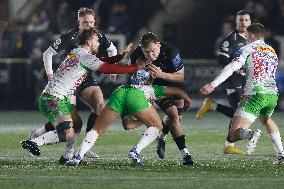 Newcastle Falcons v Harlequins - Gallagher Premiership Rugby