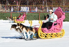 Yuanmingyuan Park Ice And Snow Festival - China