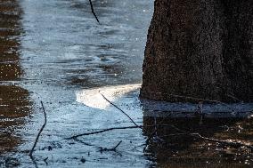 Wildlife At Oxbow Nature Conservancy As Winter Storm Blair Approaches