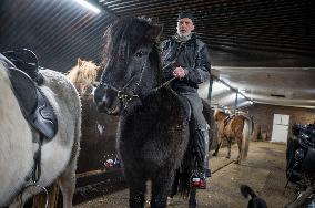 Icelandic Horses