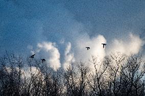 Wildlife At Oxbow Nature Conservancy As Winter Storm Blair Approaches