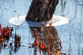 Wildlife At Oxbow Nature Conservancy As Winter Storm Blair Approaches