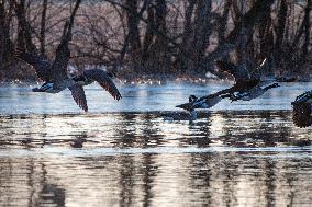 Wildlife At Oxbow Nature Conservancy As Winter Storm Blair Approaches