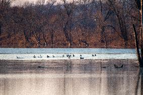 Wildlife At Oxbow Nature Conservancy As Winter Storm Blair Approaches