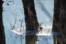 Wildlife At Oxbow Nature Conservancy As Winter Storm Blair Approaches