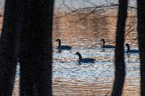 Wildlife At Oxbow Nature Conservancy As Winter Storm Blair Approaches