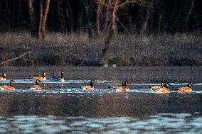 Wildlife At Oxbow Nature Conservancy As Winter Storm Blair Approaches