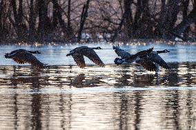 Wildlife At Oxbow Nature Conservancy As Winter Storm Blair Approaches