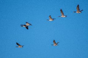 Wildlife At Oxbow Nature Conservancy As Winter Storm Blair Approaches