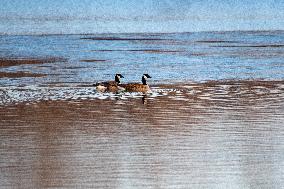 Wildlife At Oxbow Nature Conservancy As Winter Storm Blair Approaches