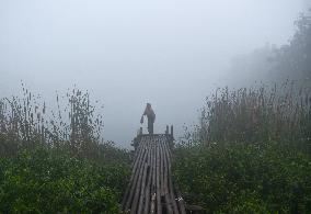 Heavy Fog In Kolkata, India