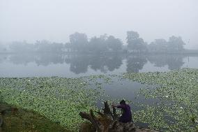 Heavy Fog In Kolkata, India