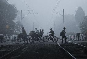 Heavy Fog In Kolkata, India