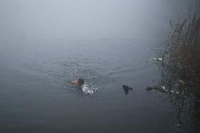 Heavy Fog In Kolkata, India