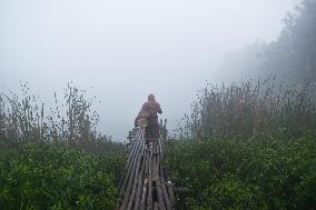 Heavy Fog In Kolkata, India