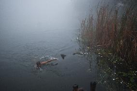 Heavy Fog In Kolkata, India