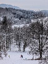 Children Sledding On A Snowy Hill