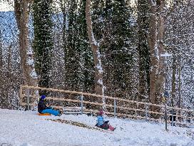 Children Sledding On A Snowy Hill