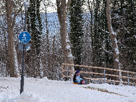 Children Sledding On A Snowy Hill