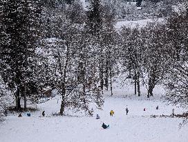 Children Sledding On A Snowy Hill