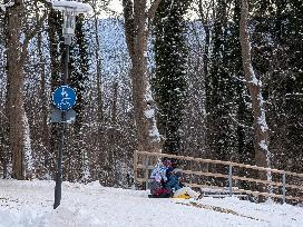 Children Sledding On A Snowy Hill