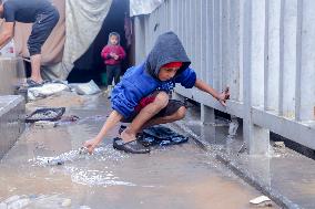 Displaced Families Suffer Harsh Weather Conditions - Gaza